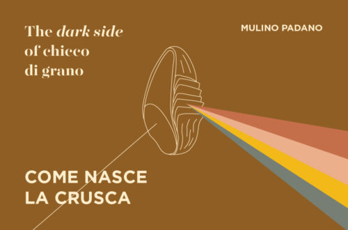 Come nasce la crusca? Tutto quello che c’è da sapere