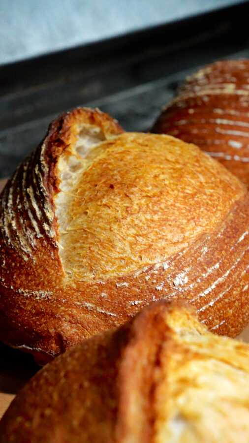 the professional recipe for wheat germ bread