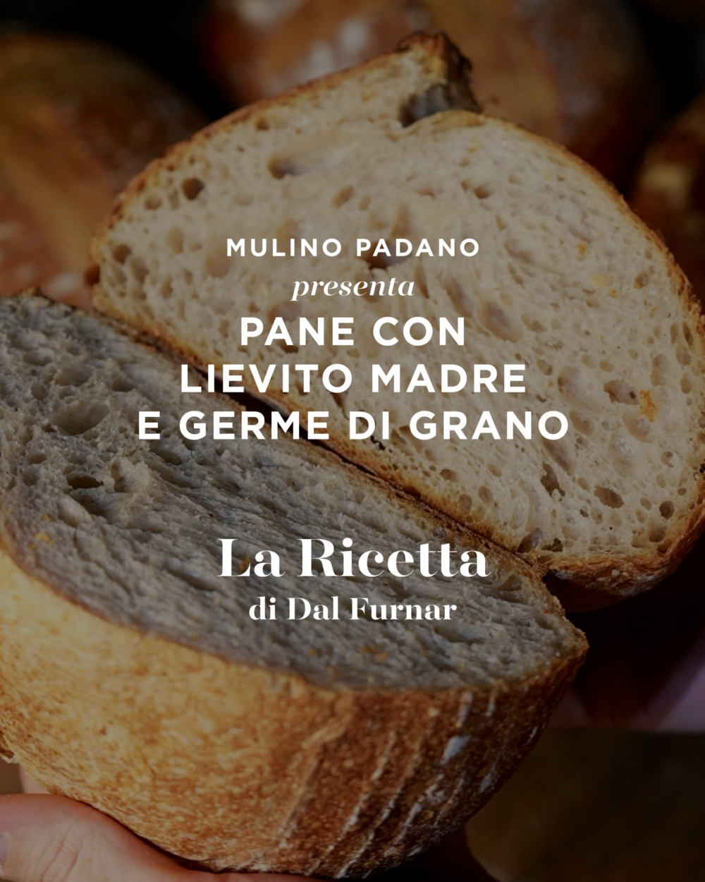 la ricetta professionale per il pane con lievito madre con germe di grano di Emanuele Mucchi di Dal Furnar