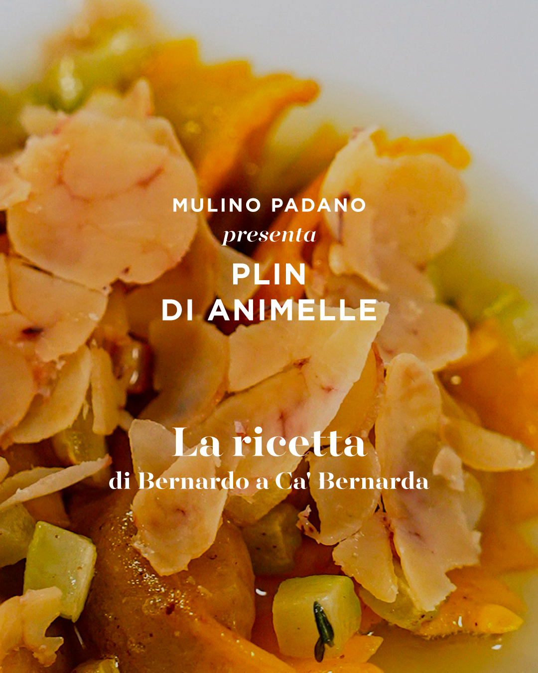 Ricetta dei plin realizzati con la farina mulino padano per pasta fresca