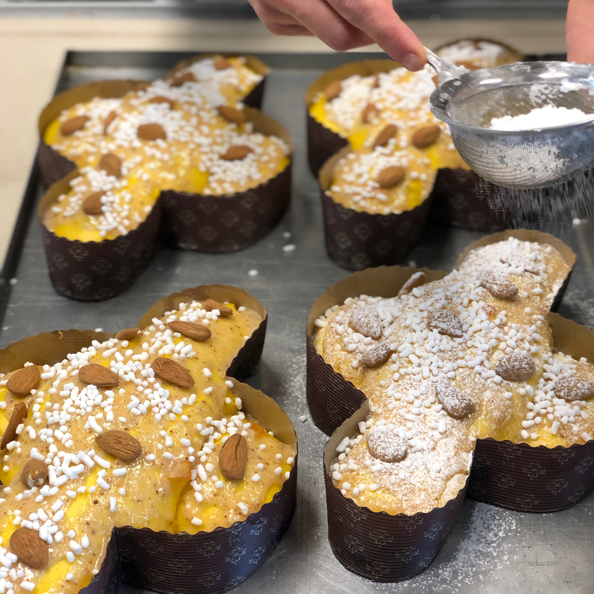 Ricetta colomba pasquale professionale: impasto, lievitazione e cottura perfetta