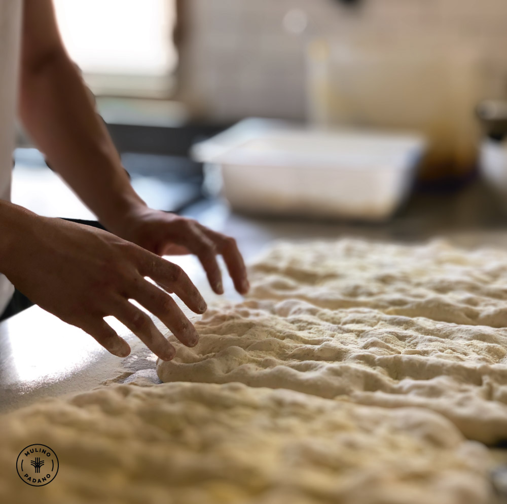 preparazione impasto pinsa romana ricetta